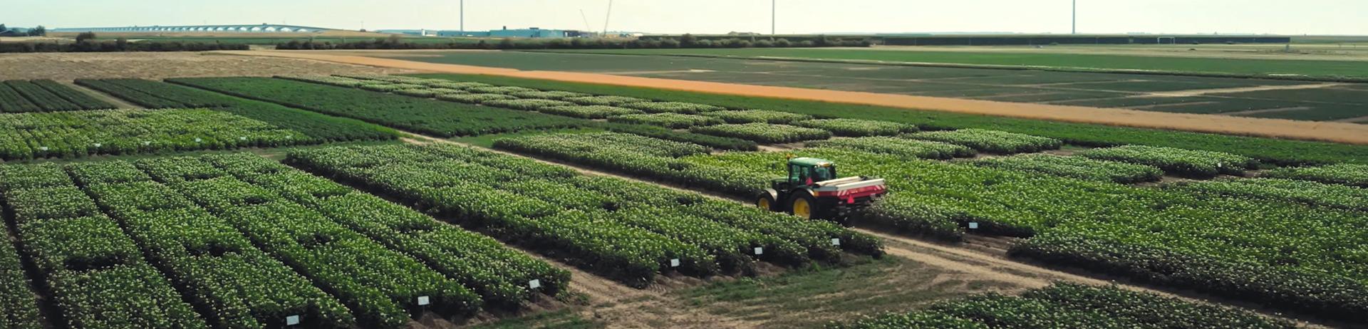 Smalle header - smwz - trekker over het zeeuwse landschap