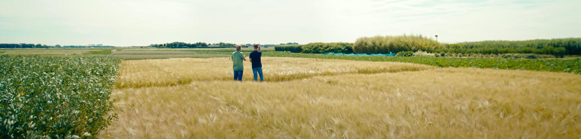 Smalle header - smwz - uitzicht over het zeeuwse landschap